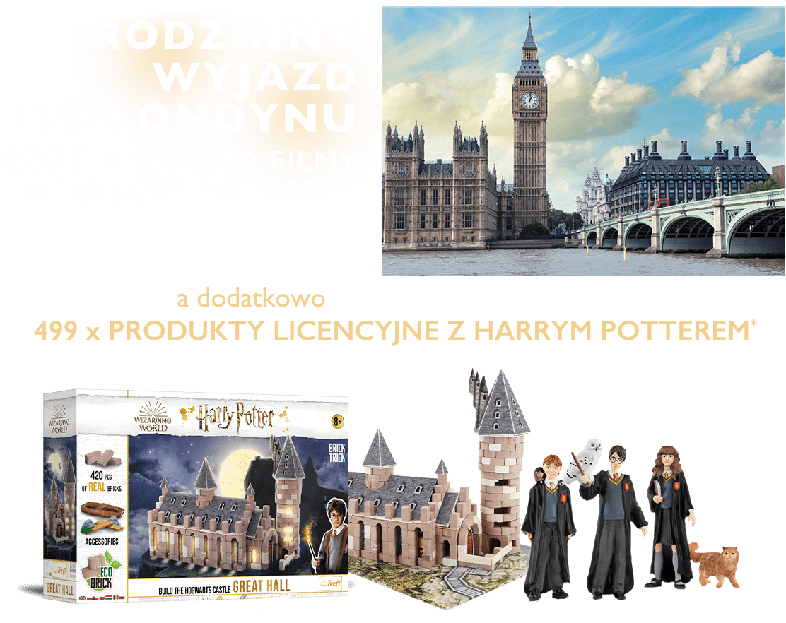 Loteria Harry Potter #fypシ #paratii #harrypotter #pottermania #loteria